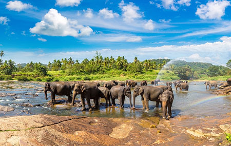 Best of Sri Lanka Leisure